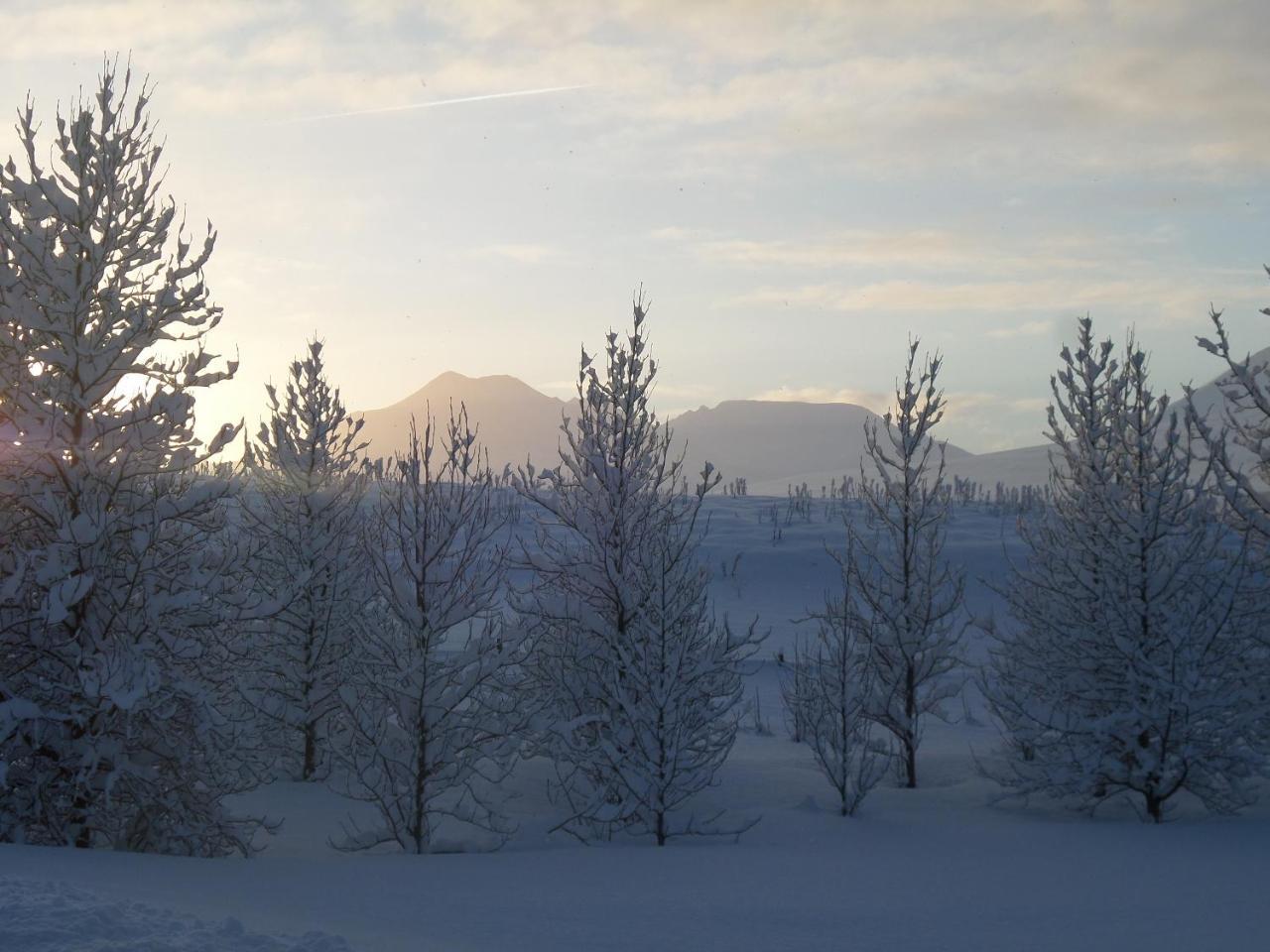 Guesthouse Petursborg Akureyri Luaran gambar